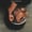 859763868422 cover art