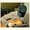 8800261897096 cover art